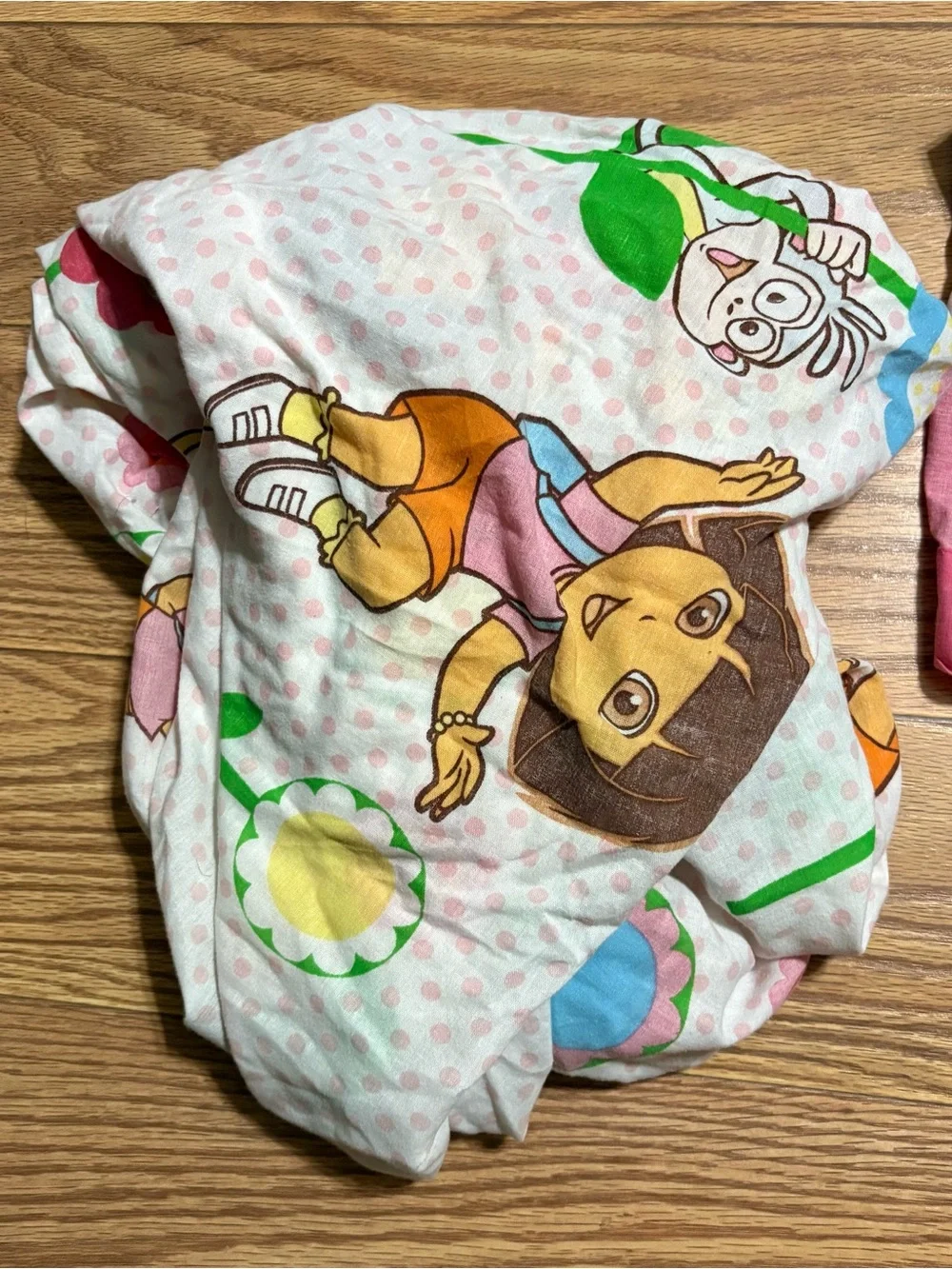 Dora The Explorer dora explorer